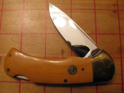 Puma23872 1.jpg