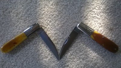 WP_20170221_004.jpg
