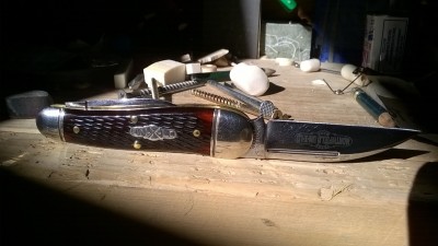 WP_20170222_022.jpg