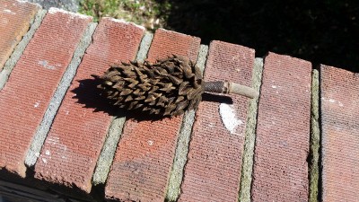 20170223_125919.jpg