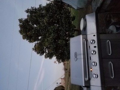 20170223_175939.jpg
