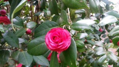 20170225_082539.jpg