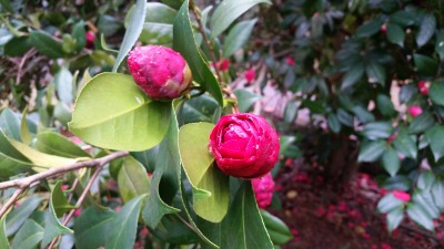20170225_082531.jpg