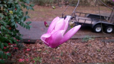 20170225_082505.jpg
