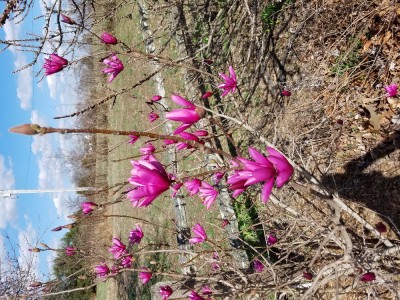 20170224_132422.jpg