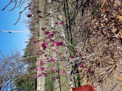 20170226_110418.jpg