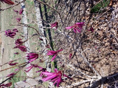 20170226_110457.jpg