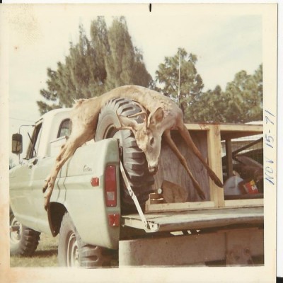 #119.jpg