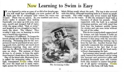 swim collar copy.jpg