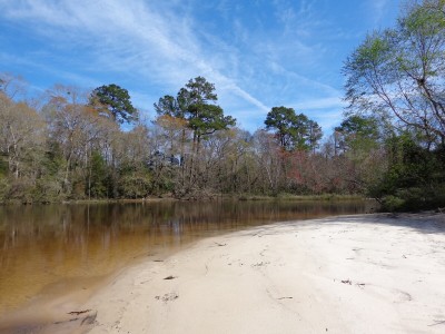 Escatawpa River in Mississippi