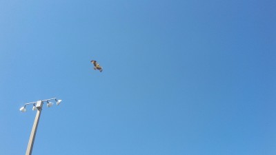 20170304_113936.jpg
