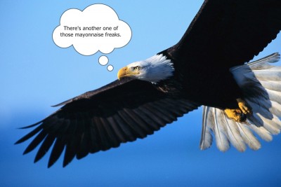 eagle-in-flight mayonnaise freaks.jpg
