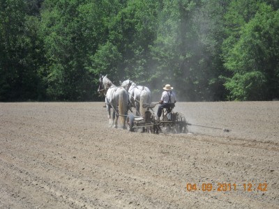 Mr. Smoker, planting corn with a set of John Deere planters.