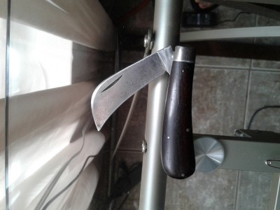 L. F. & C. Pruner.jpg