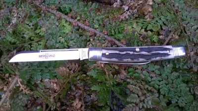 WP_20170310_007.jpg