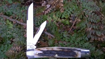 WP_20170310_003.jpg