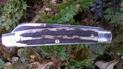 WP_20170310_015.jpg