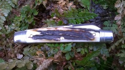 WP_20170310_008.jpg