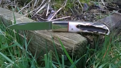 WP_20170312_009.jpg