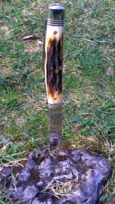 WP_20170316_067.jpg