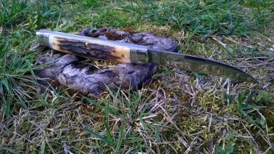 WP_20170316_056.jpg
