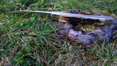 WP_20170316_052.jpg