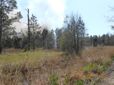 Part of today's fire