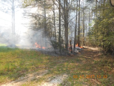 Burning next to the grandson's food plot.