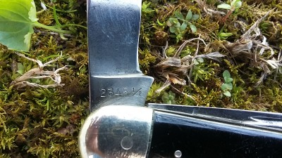 20170319_173844.jpg