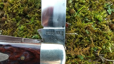 20170319_173807.jpg