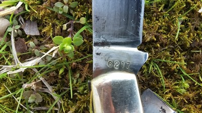 20170319_173956.jpg