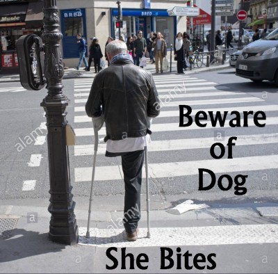 Beware of Dog.jpg