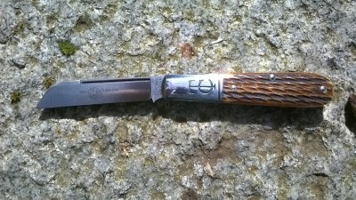 WP_20170322_020.jpg
