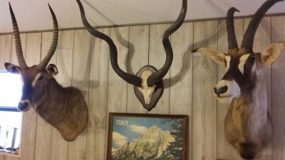 20170325_074706.jpg