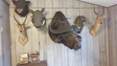 20170325_082701.jpg