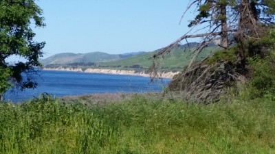 20170328_121220.jpg