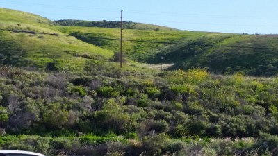 20170328_121137.jpg