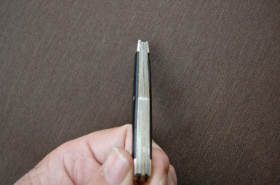 DSC_0729.JPG