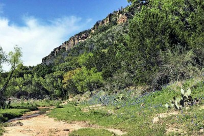 Willow Loop Road near Fredericksburg, TX