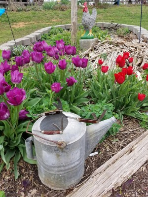 20170330_185258.jpg
