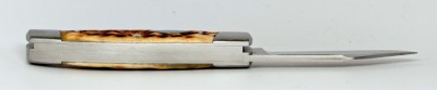 Tony Bose Cattle 2015 Antique Bone