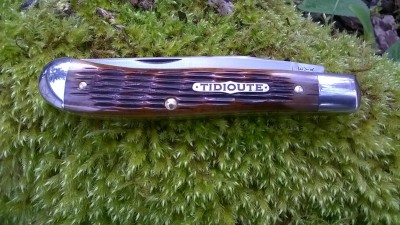 WP_20170401_010.jpg