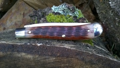 WP_20170403_006.jpg