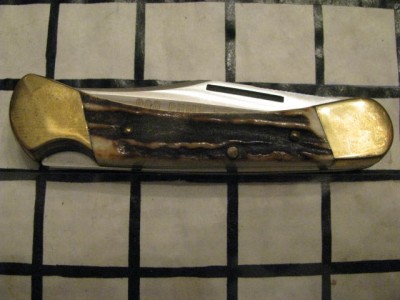 Puma1113 1.jpg