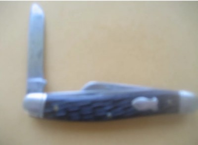 image.jpeg