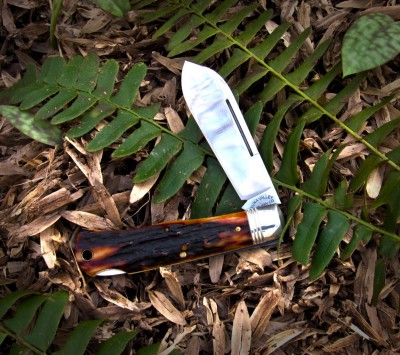 2012-tuna-valley-spear-lockback-amber-stag02.jpg