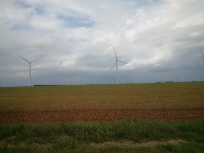image.jpeg