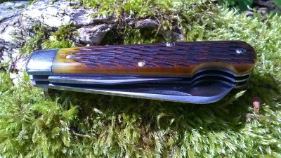 WP_20170414_012.jpg