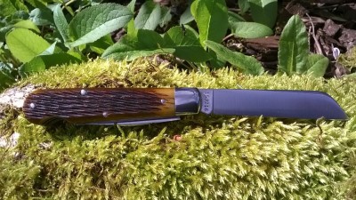 WP_20170414_005.jpg