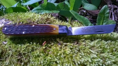 WP_20170414_006.jpg